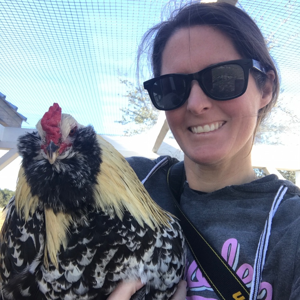 Meet your Posher, Denise
